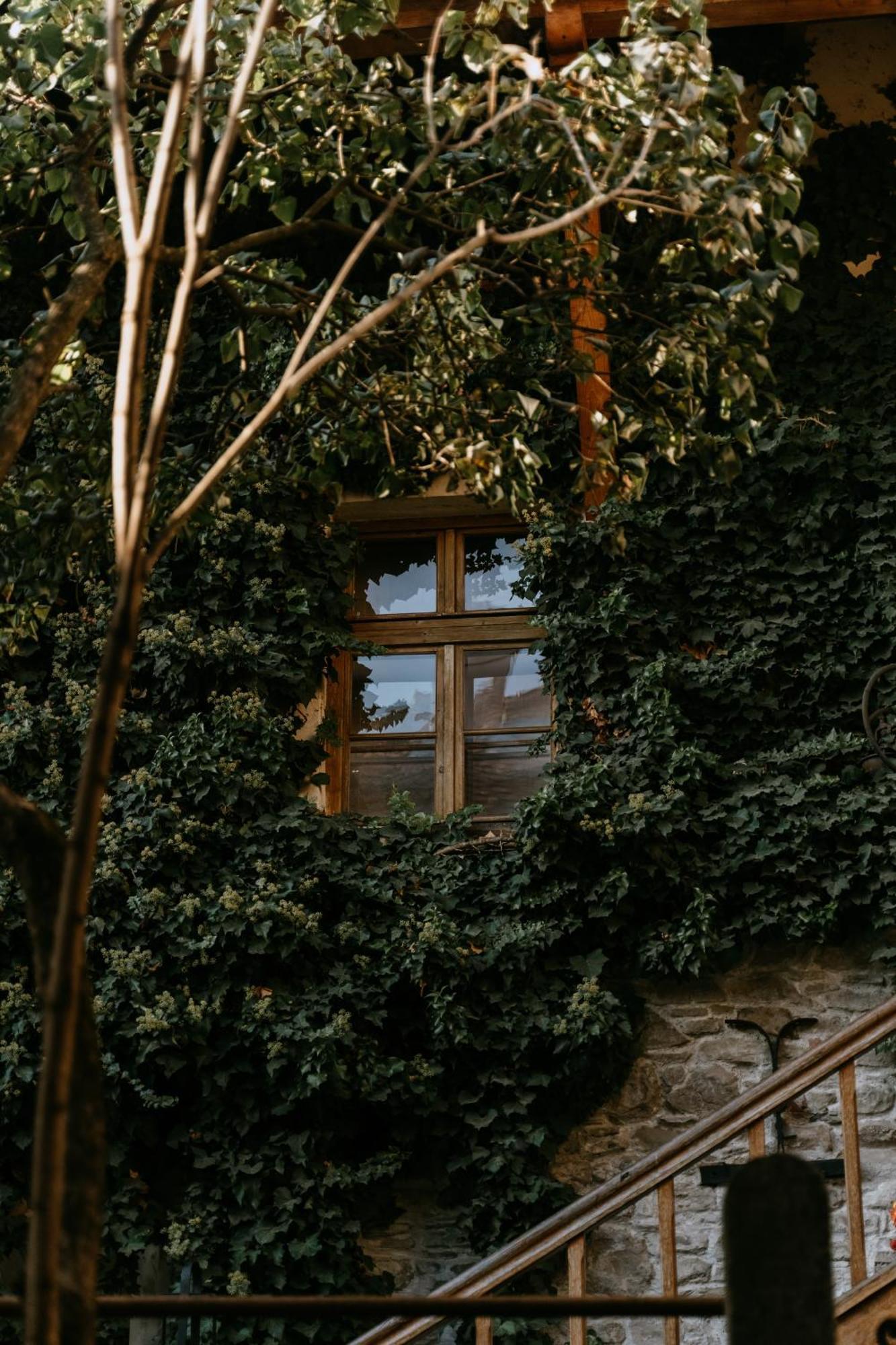 Fronius Boutique Residence Сигишоара Экстерьер фото